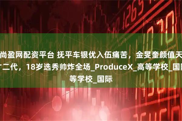 尚盈网配资平台 抚平车银优入伍痛苦，金旻奎颜值天才二代，18岁选秀帅炸全场_ProduceX_高等学校_国际
