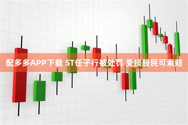 配多多APP下载 ST任子行被处罚 受损股民可索赔