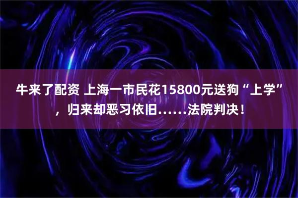 牛来了配资 上海一市民花15800元送狗“上学”，归来却恶习依旧……法院判决！